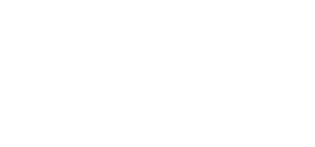 Everist Group